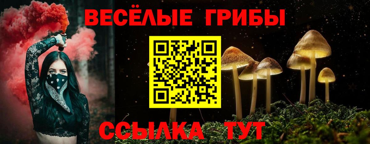 Галлюциногенные грибы ЛСД Лыткарино